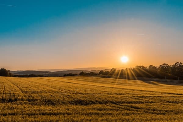 Beautiful Farm Landscape